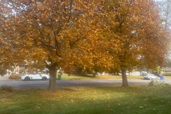 Coeur d'Alene, Idaho, United States