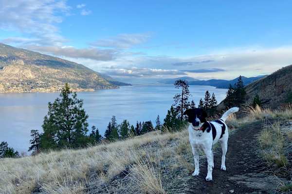 Jasper, Alberta, Canada