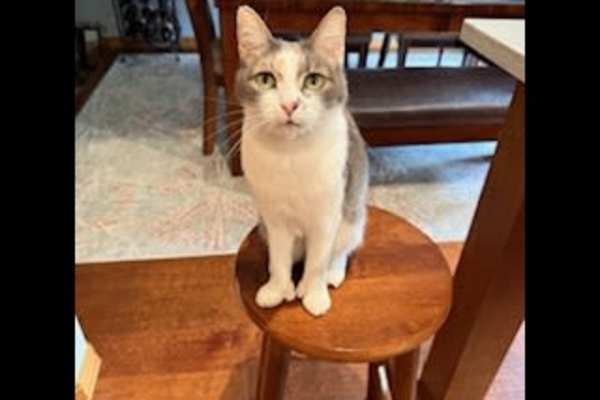 Vancouver, Washington, United States