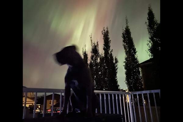 Morinville, Alberta, Canada