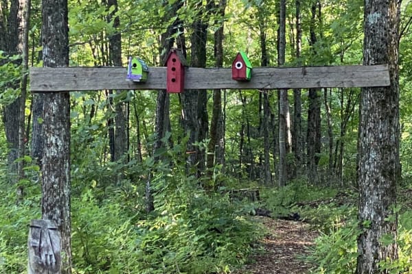 Haliburton, Ontario, Canada