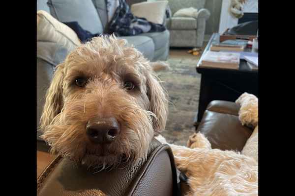 Danbury, Connecticut, United States