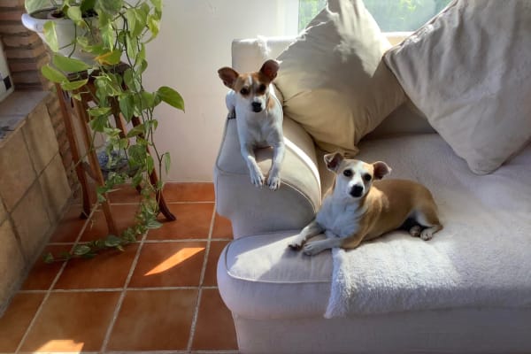 Cuevas del Almanzora, Andalusia, Spain