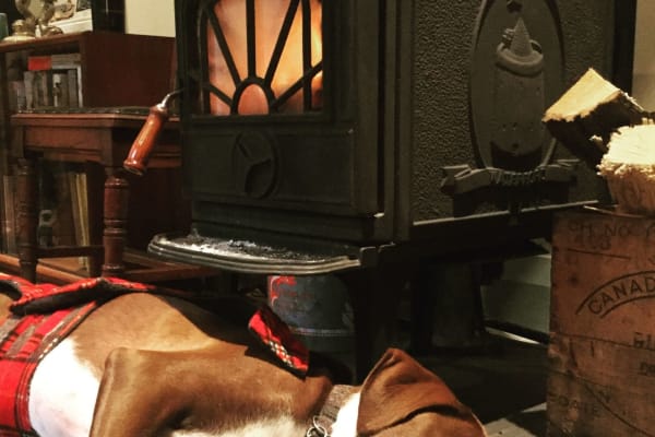 Toronto, Ontario, Canada