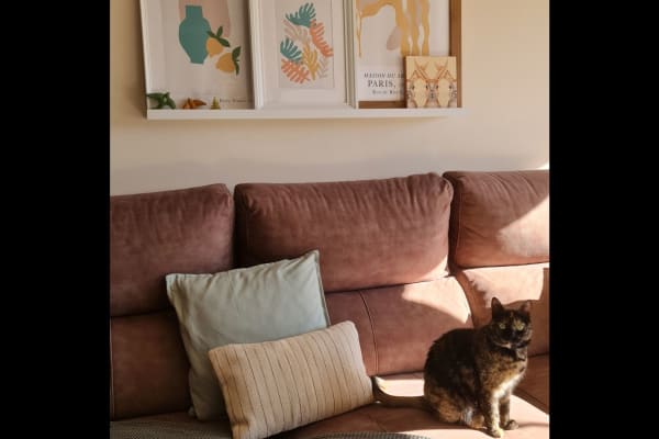 Vimianzo, Galicia, Spain