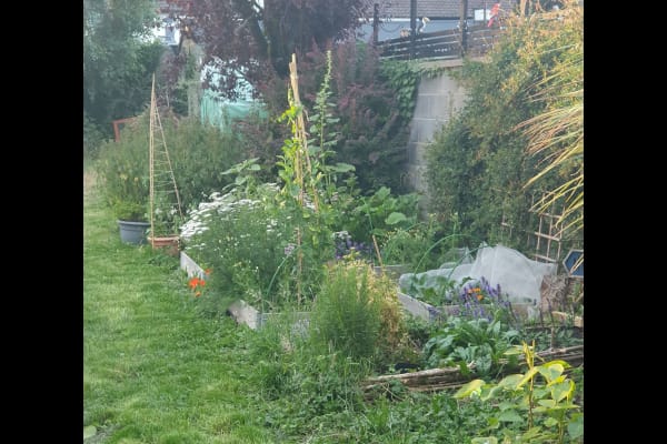 Crumlin, Leinster, Ireland