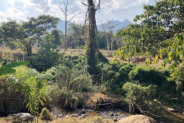 Pai, Chiang Mai, Thailand