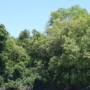 Broadwater, New South Wales, Australia