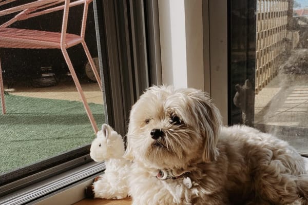 Newcastle, New South Wales, Australia