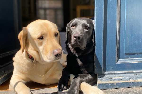 Toronto, Ontario, Canada