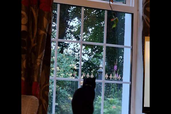 Omagh, Northern Ireland, United Kingdom