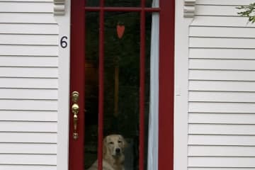 Camden,Maine,United States