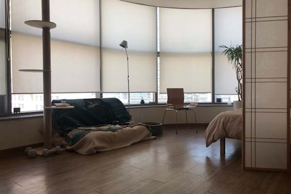 Seoul, Seoul, South Korea