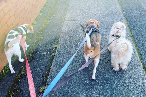 Hobart, Tasmania, Australia