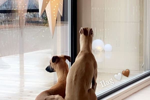 Trondheim, Sor-Trondelag, Norway