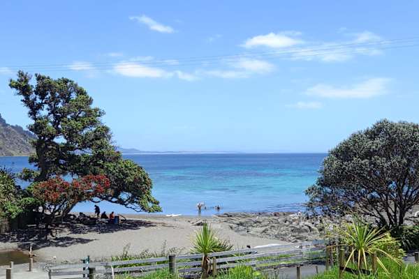 Matakana, Auckland, New Zealand