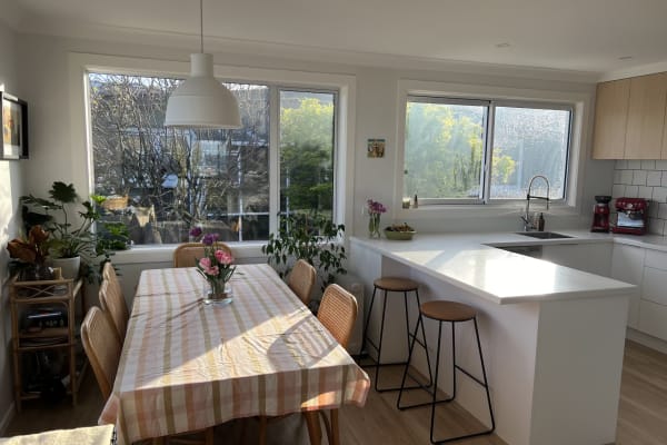 Dunedin, Otago, New Zealand