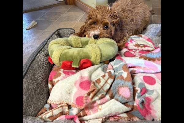 Adelaide, South Australia, Australia