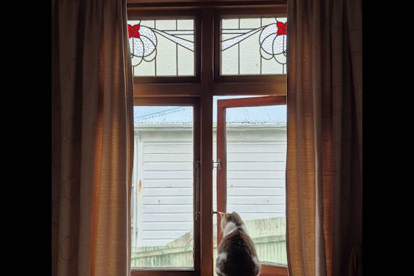 Wellington, Wellington, New Zealand