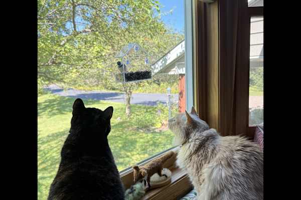 Minneapolis, Minnesota, United States