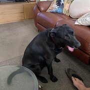 Mount Gambier, South Australia, Australia