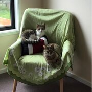 Sulphur Creek, Tasmania, Australia