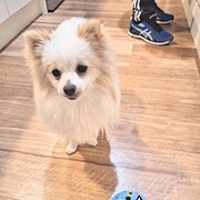 Moana, South Australia, Australia