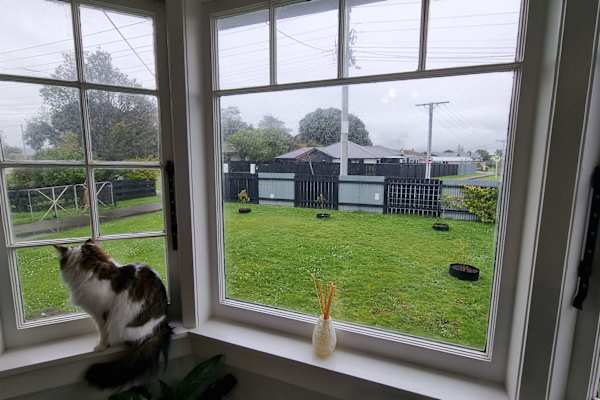 Feilding, Manawatu-Wanganui, New Zealand