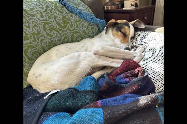 Portland, Maine, United States