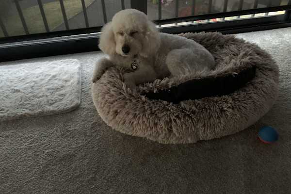 Devonport, Tasmania, Australia