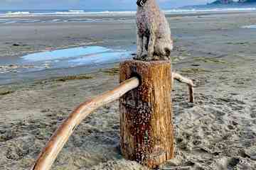 Newport,Oregon,United States