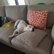 Inglewood, Western Australia, Australia