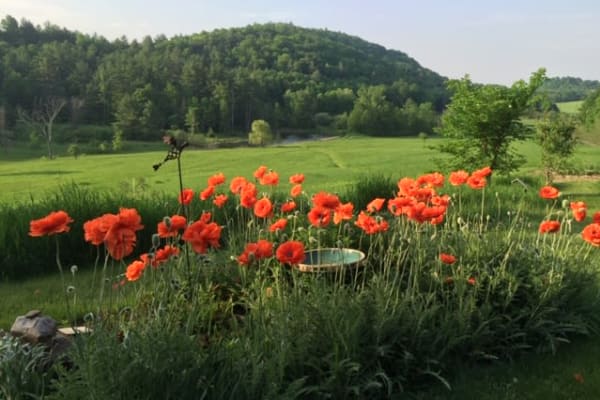 Burlington, Vermont, United States