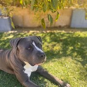 Two Rocks, Western Australia, Australia