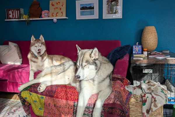 Kalamazoo, Michigan, United States