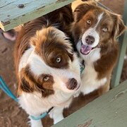 Casuarina, Western Australia, Australia