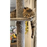 Drouin, Victoria, Australia