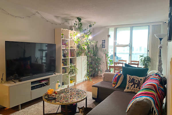 Toronto, Ontario, Canada