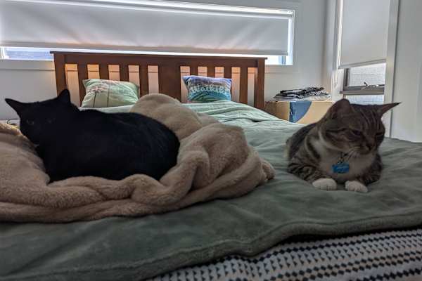 Fawkner, Victoria, Australia