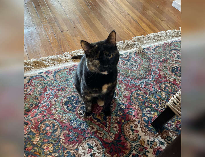 St. Louis, Missouri, United States