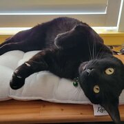 Joondalup, Western Australia, Australia