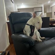 Johnston, Northern Territory, Australia