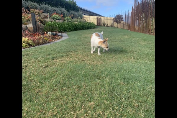 Strathalbyn, South Australia, Australia