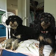 Two Rocks, Western Australia, Australia
