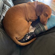 Wannanup, Western Australia, Australia