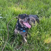 Swan View, Western Australia, Australia