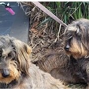 Williams Landing, Victoria, Australia