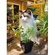 Bunbury, Western Australia, Australia