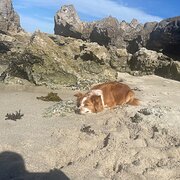 Kinross, Western Australia, Australia