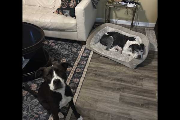 Jupiter, Florida, United States